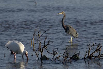 DSC_2540web.jpg
