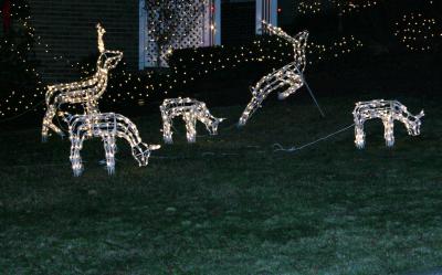16-Dec-2004