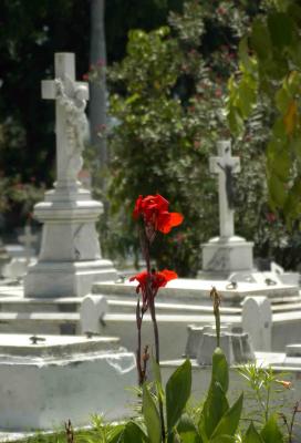 cementerio de Santa Ifigenia