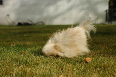 Oct18_04_075.JPG