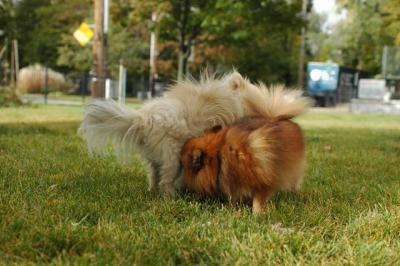 Oct18_04_079.jpg