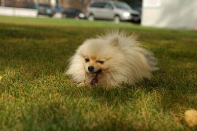 Oct18_04_104.JPG