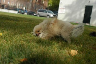 Oct18_04_105.JPG