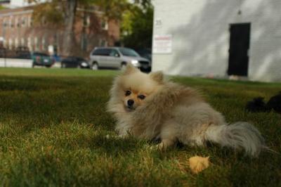 Oct18_04_107.JPG