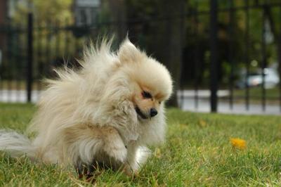 Oct18_04_137.JPG