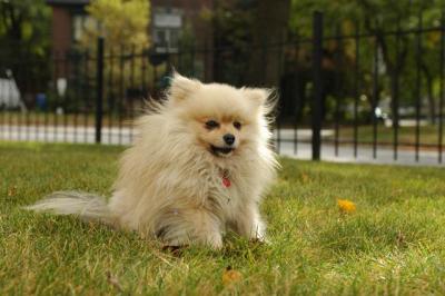 Oct18_04_139.JPG