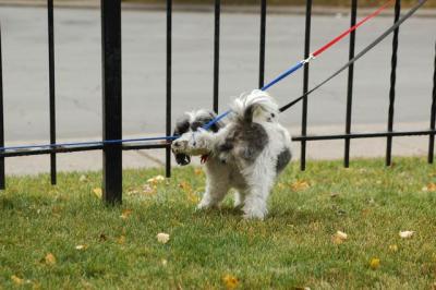 Oct18_04_202.JPG