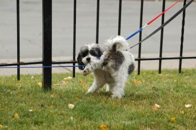 Oct18_04_203.JPG