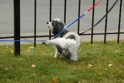 Oct18_04_204.JPG