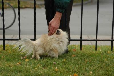 Oct18_04_209.JPG