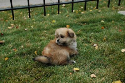Oct18_04_252.JPG