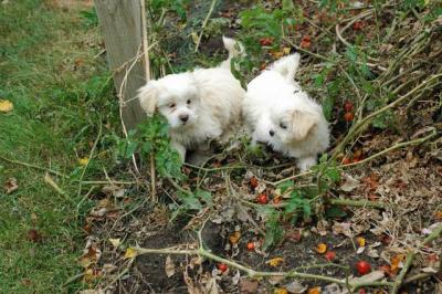 Oct18_04_259.JPG