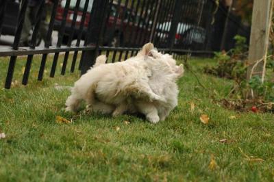 Oct18_04_267.JPG