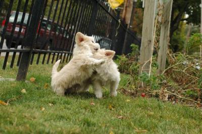 Oct18_04_269.JPG