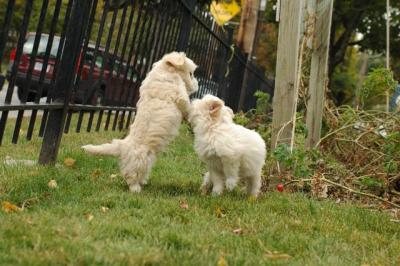 Oct18_04_270.JPG
