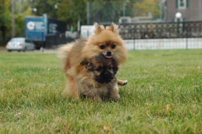 Oct18_04_280.JPG