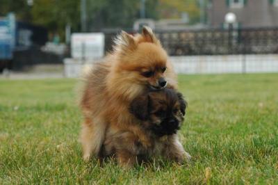 Oct18_04_281.JPG
