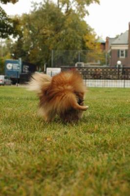 Oct18_04_285.JPG