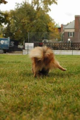 Oct18_04_286.JPG