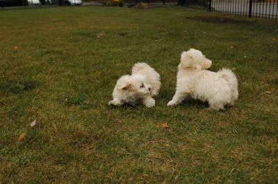 Oct18_04_290.JPG
