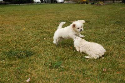 Oct18_04_294.JPG