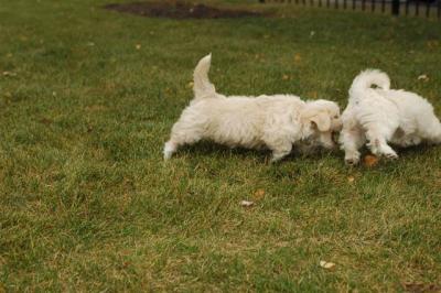 u6/billmcintyre/medium/35260789.Oct18_04_296.jpg