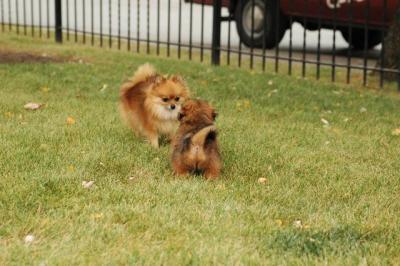 Oct18_04_299.JPG