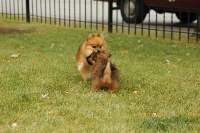 Oct18_04_300.JPG