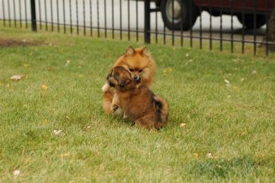Oct18_04_301.JPG