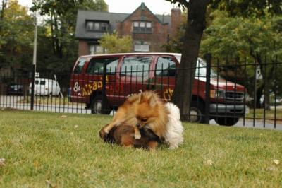 Oct18_04_303.JPG