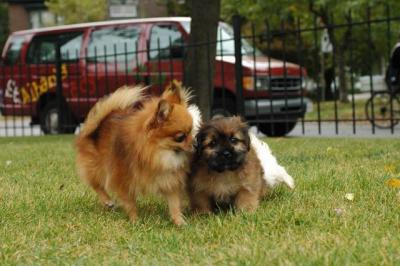 Oct18_04_307.JPG