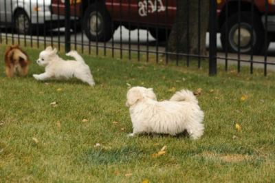 Oct18_04_317.JPG