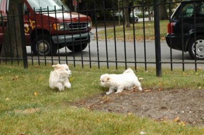 Oct18_04_319.JPG