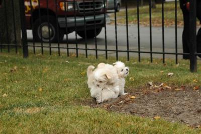 Oct18_04_320.JPG