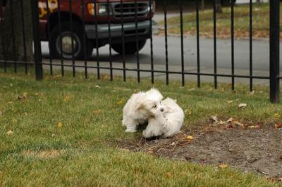 Oct18_04_321.JPG