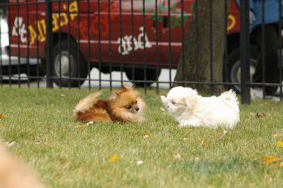 Oct18_04_323.JPG