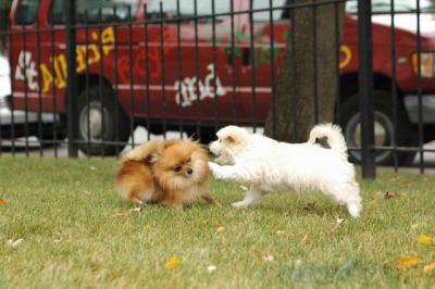 Oct18_04_325.JPG