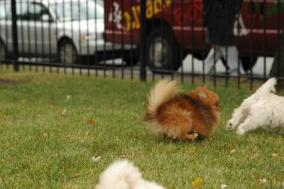 Oct18_04_327.JPG
