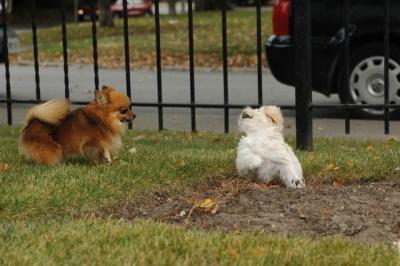 Oct18_04_330.JPG