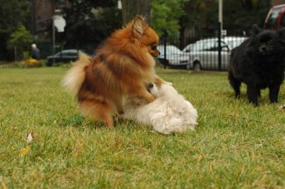 Oct18_04_337.JPG