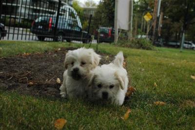 Oct18_04_347.JPG
