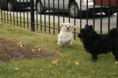 Oct18_04_349.JPG