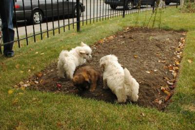 Oct18_04_357.JPG