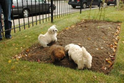 Oct18_04_358.JPG