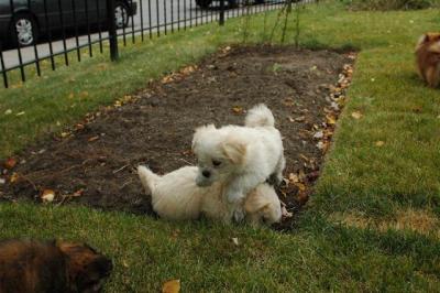 Oct18_04_359.JPG