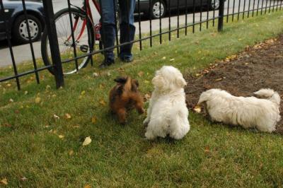 Oct18_04_360.JPG
