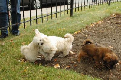 Oct18_04_362.JPG