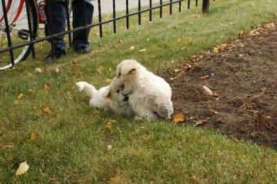 Oct18_04_364.JPG