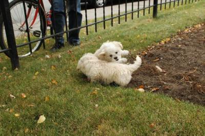 Oct18_04_365.JPG