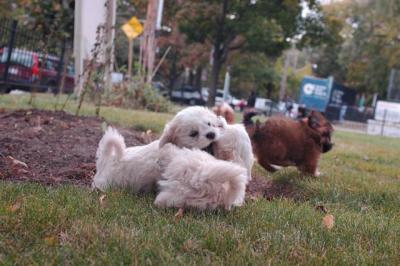 Oct18_04_368.JPG
